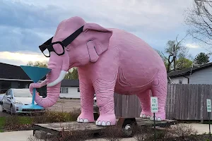 Pink Elephant image