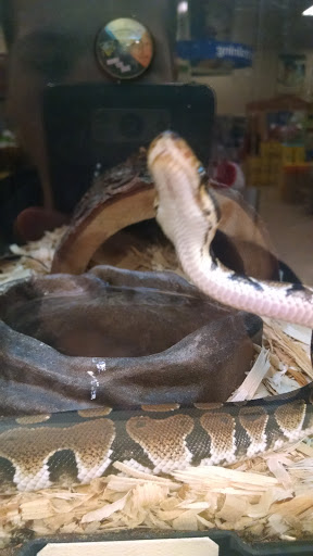 Pet Supply Store «PetSmart», reviews and photos, 4485 24th Ave, Fort Gratiot Twp, MI 48059, USA