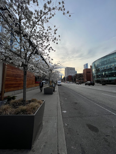 Gym «Drexel Recreation Center and Gym», reviews and photos, 3301 Market St, Philadelphia, PA 19104, USA