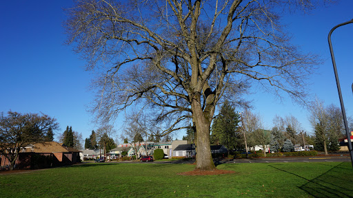 Recreation Center «Shute Park Aquatic & Recreation Center», reviews and photos, 953 SE Maple St, Hillsboro, OR 97123, USA