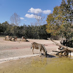 Photo n°25 de l'avis de Paola.a fait le 18/04/2022 à 18:50 sur le  Parco Zoo Falconara Srl à Falconara Marittima