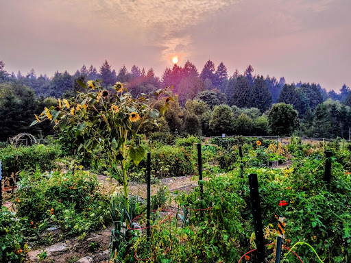 Park «Gabriel Park», reviews and photos, SW 45th Ave & Vermont Street, Portland, OR 97219, USA