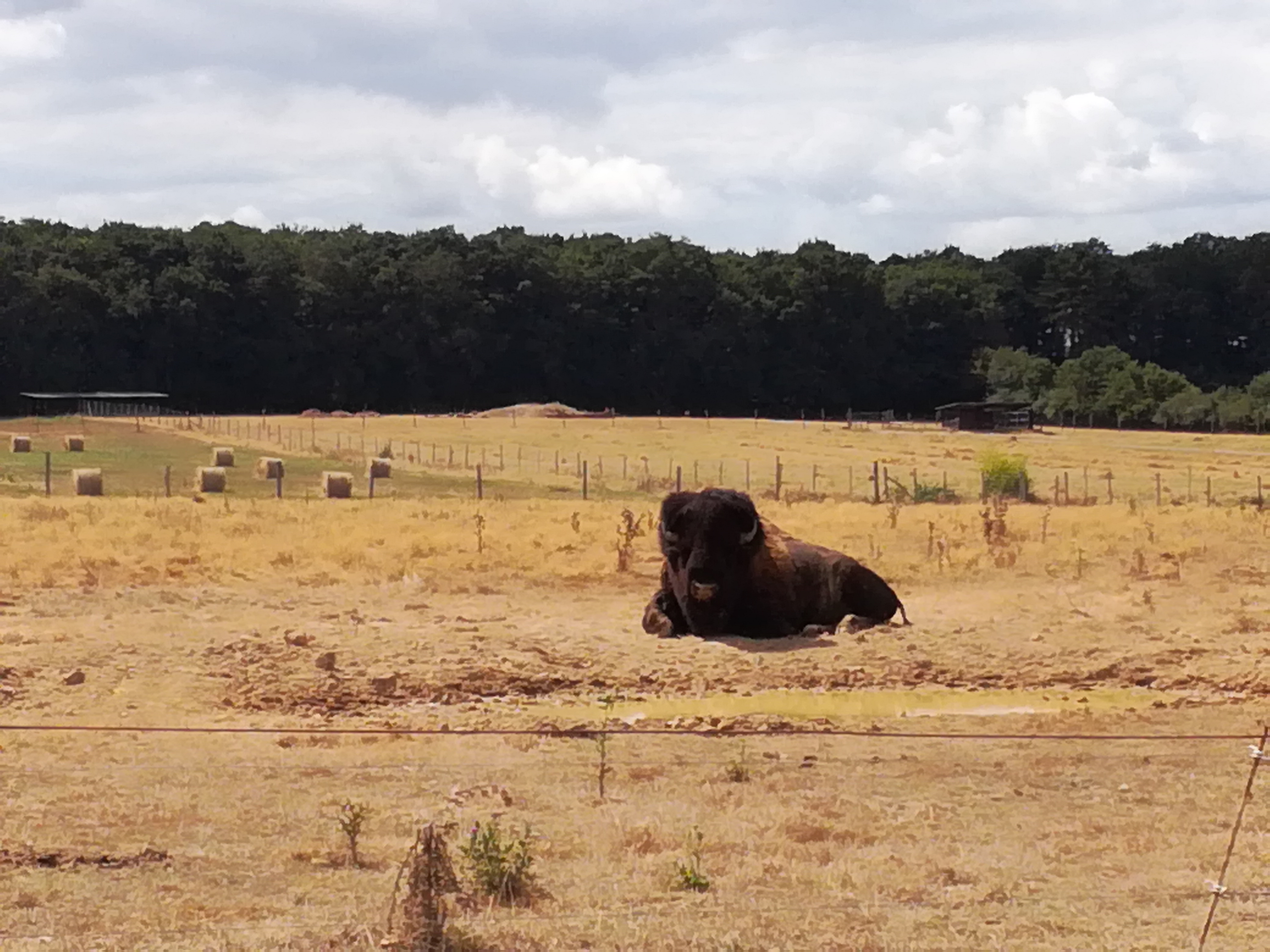 Photo n° 1 de l'avis de Chochotte.5 fait le 18/08/2018 à 19:13