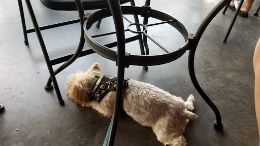 Winery «Saudé Creek Vineyards», reviews and photos, 16230 Cooks Mill Rd, Lanexa, VA 23089, USA