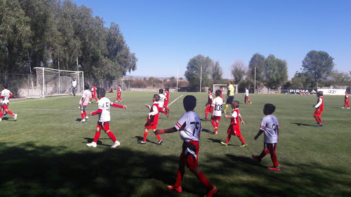 Escuela de fútbol Hidro Gallos