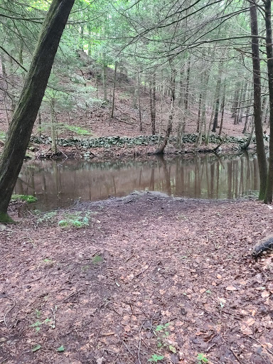 Nature Preserve «Mianus River Gorge Preserve», reviews and photos, 167 Mianus River Rd, Bedford, NY 10506, USA