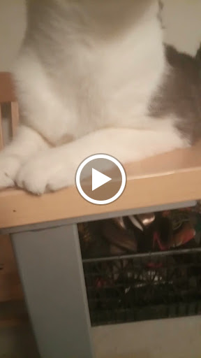 Park «Madrona Park», reviews and photos, 853 Lake Washington Blvd, Seattle, WA 98122, USA