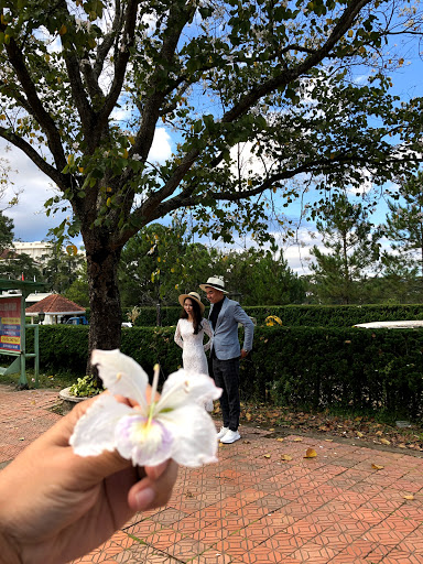 Hội đồng Nhân dân tỉnh Lâm Đồng
