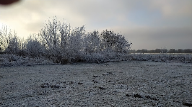 Wisła, łąki - Grudziądz