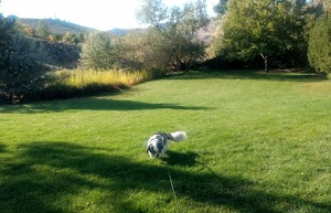 Rainbow Ridge Park - photo 20
