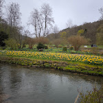 Photo n°8 de l'avis de Christian.c fait le 04/04/2024 à 19:58 sur le  Dorint Resort & Spa Bad Brückenau à Bad Brückenau