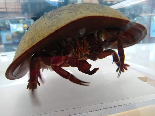 Nature Preserve «DuPont Nature Center», reviews and photos, 2992 Lighthouse Rd, Milford, DE 19963, USA