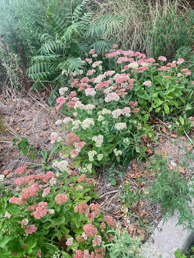 Park «Little Bay Park», reviews and photos, Cross Island Pkwy, Whitestone, NY 11357, USA