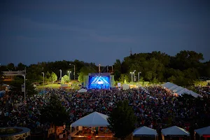 Taste of Orland Park image