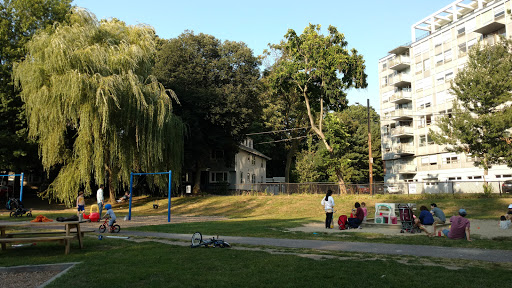 Park «Griggs Park», reviews and photos, 33 Griggs Rd, Brookline, MA 02446, USA