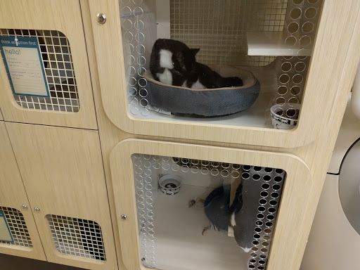 Pet Supply Store «Petco Animal Supplies», reviews and photos, 1121 5th St, Miami Beach, FL 33139, USA