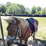 Photo n°4 de l'avis de Jennifer.c fait le 02/06/2020 à 05:21 sur le  Schloss Diedersdorf à Grossbeeren