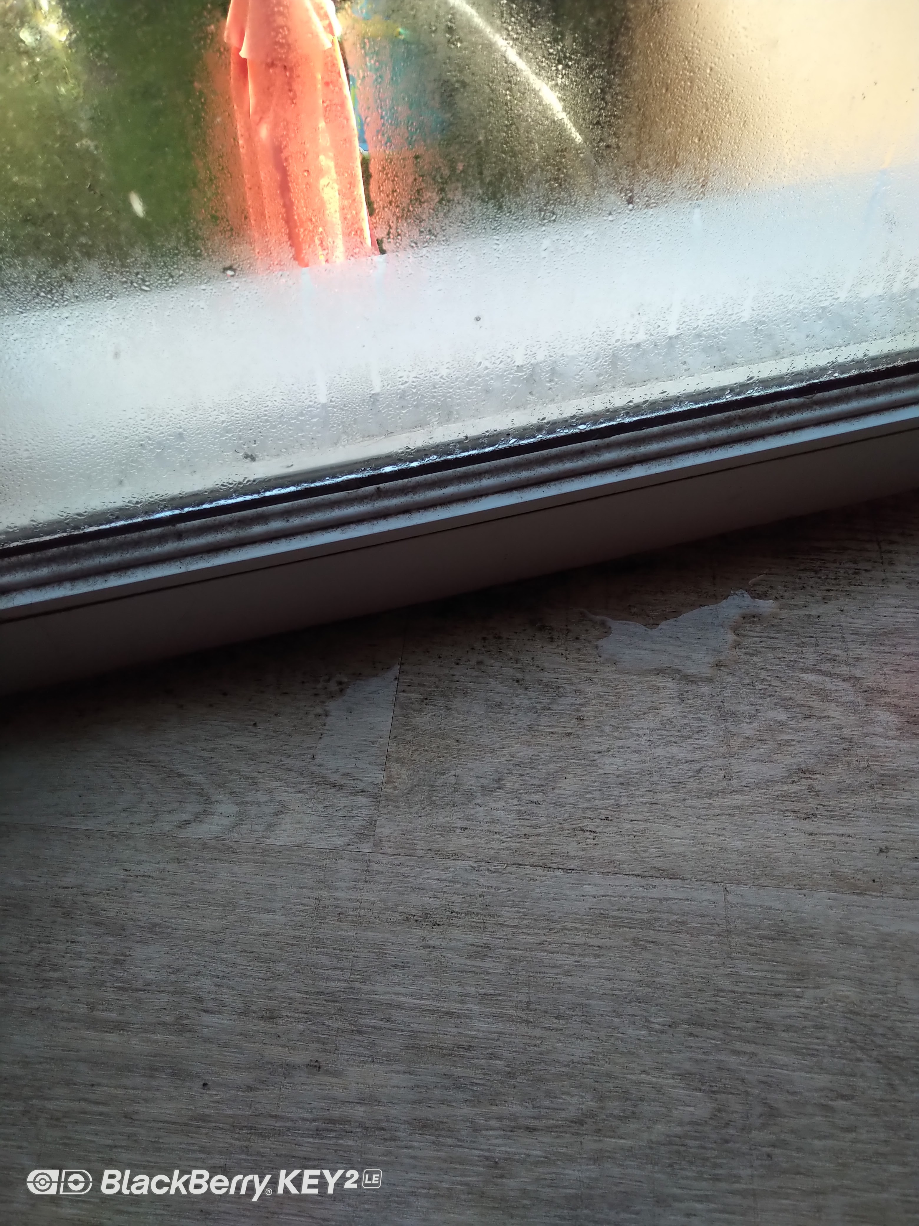 Photo n° 2 de l'avis de Anthony.� fait le 20/09/2021 à 17:08