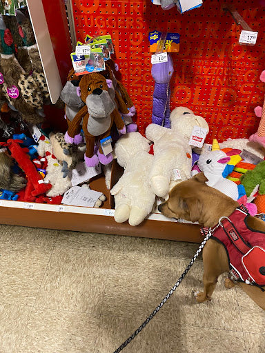 Pet Supply Store «PetSmart», reviews and photos, 2818 S Louise Ave, Sioux Falls, SD 57106, USA