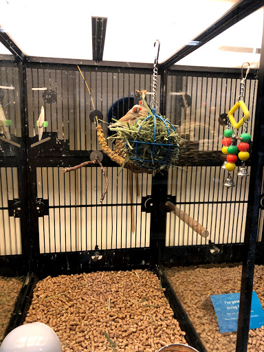 Pet Supply Store «PetSmart», reviews and photos, 190 Rt 10 West, East Hanover, NJ 07936, USA