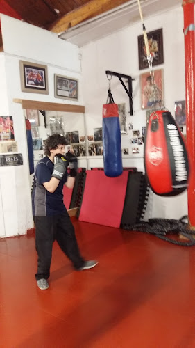 Reviews of Mo's Boxing & Fitness Academy in Newport - Gym