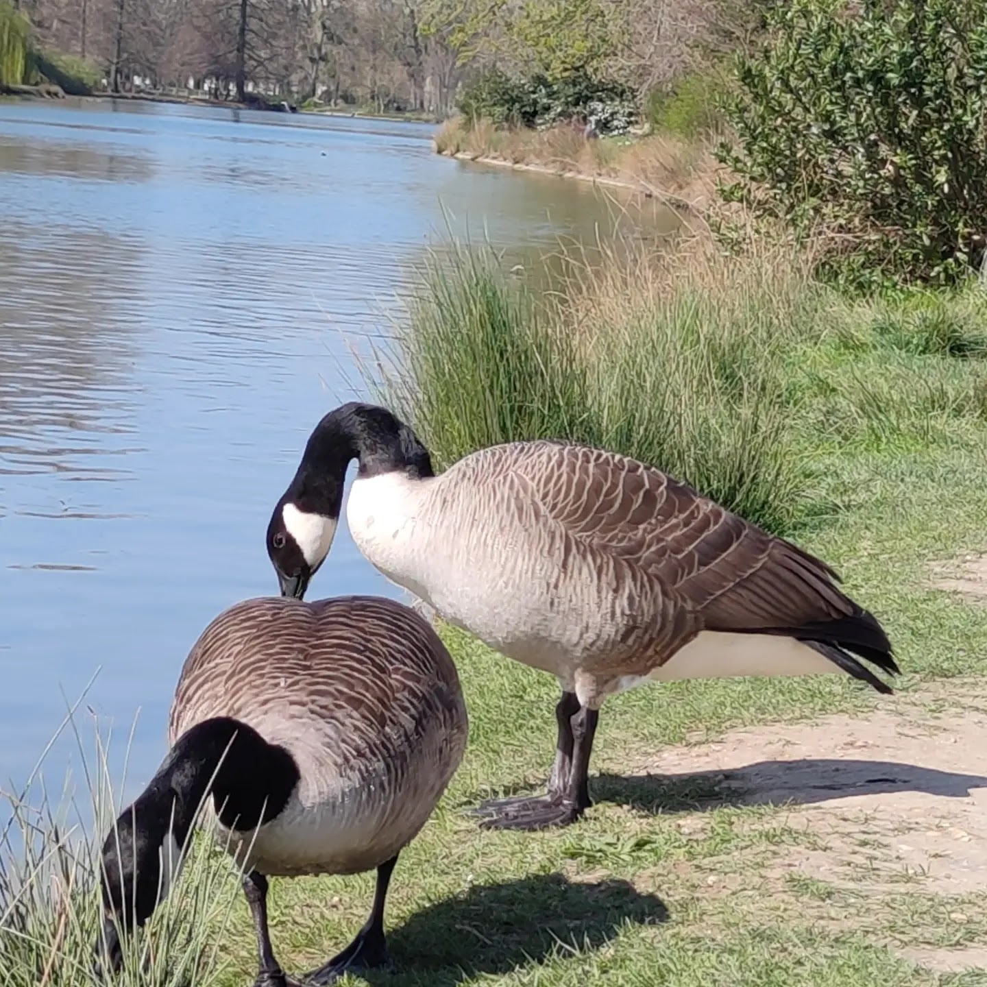 Photo n° 3 de l'avis de Javier.l fait le 20/03/2022 à 12:48