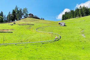 Fun Alpine Tyrol alpine slide image