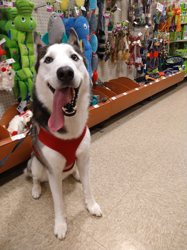 Pet Supply Store «PetSmart», reviews and photos, 2610 Eldridge Pkwy, Houston, TX 77082, USA