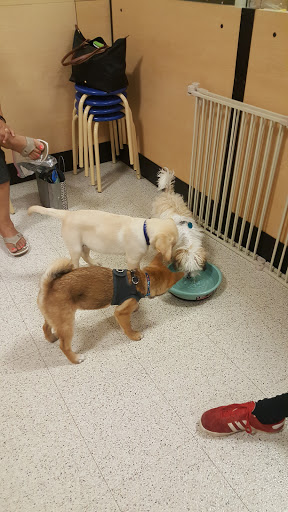 Pet Supply Store «PetSmart», reviews and photos, 4180 US-1, Monmouth Junction, NJ 08852, USA