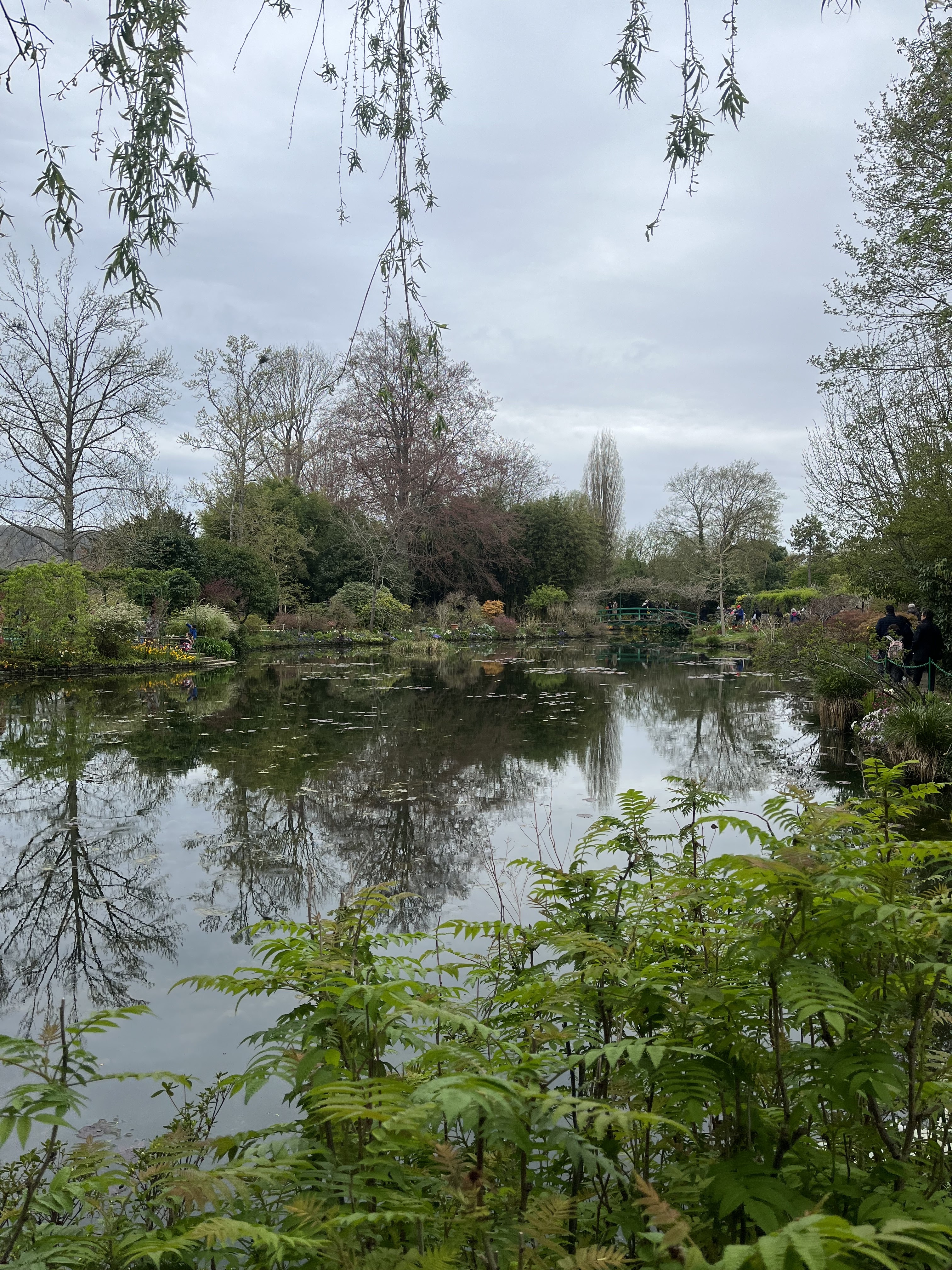 Photo n° 2 de l'avis de Julian. fait le 10/04/2023 à 11:38