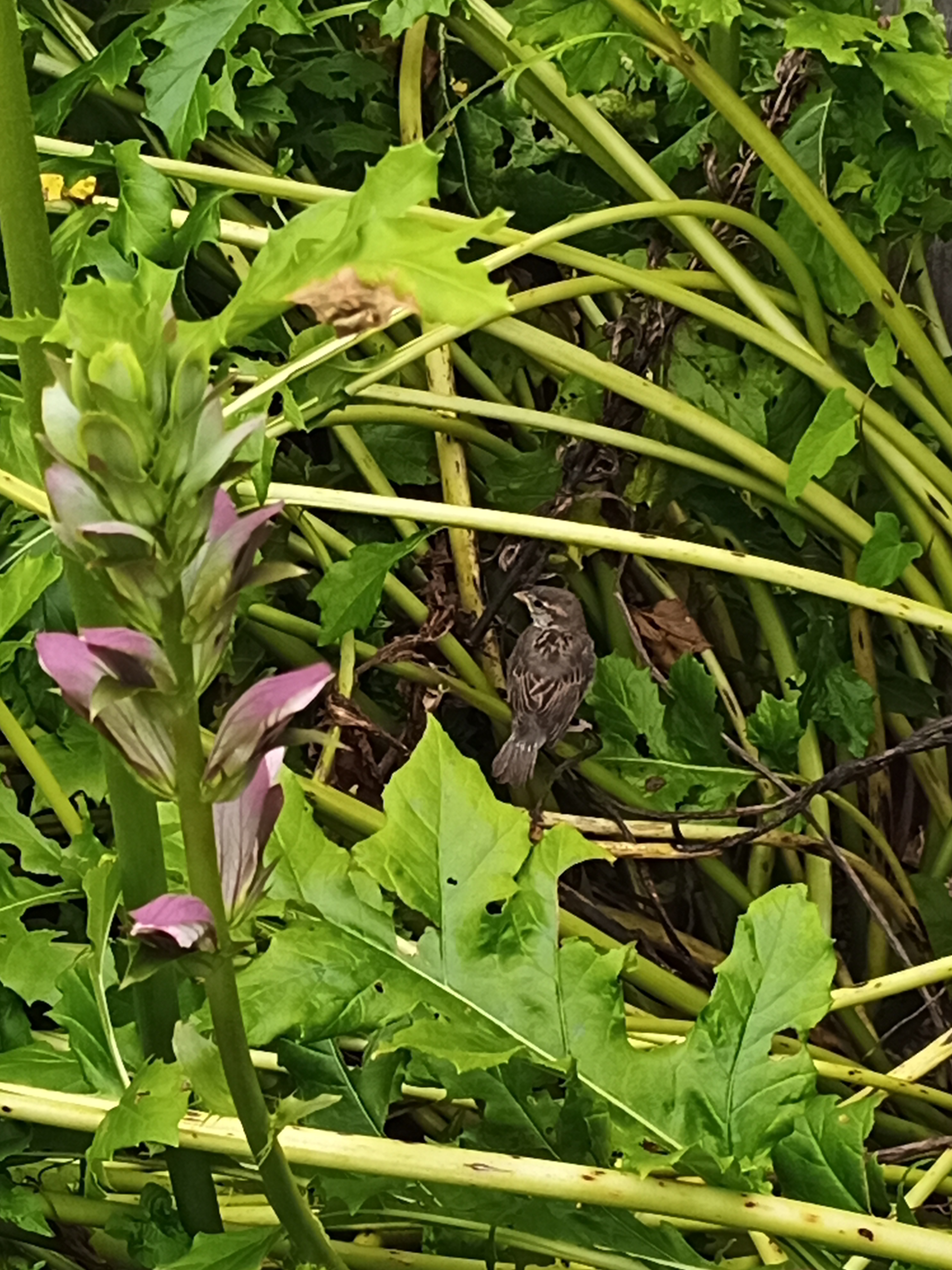 Photo n° 11 de l'avis de Maria.e fait le 09/07/2021 à 14:37