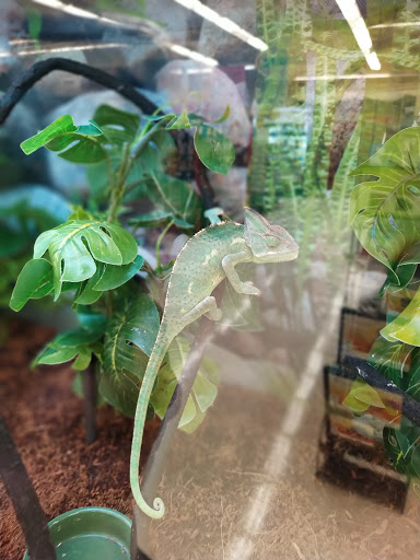 Pet Supply Store «Petco Animal Supplies», reviews and photos, 702 S Randall Rd, Algonquin, IL 60102, USA