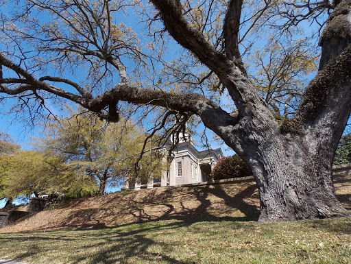 History Museum «Old Court House Museum», reviews and photos, 1008 Cherry St, Vicksburg, MS 39183, USA