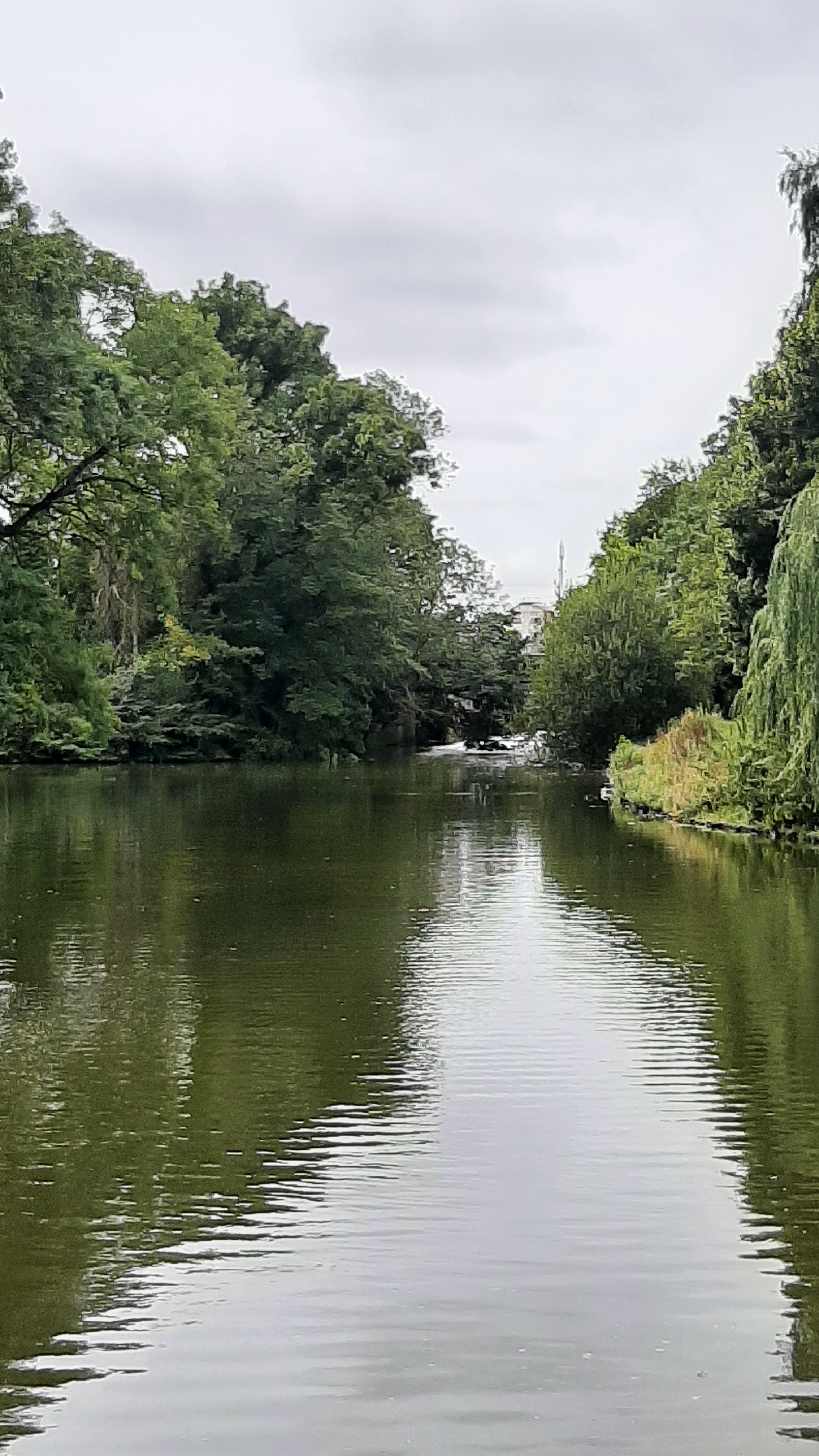 Photo n° 18 de l'avis de Annie.a fait le 13/08/2023 à 10:25