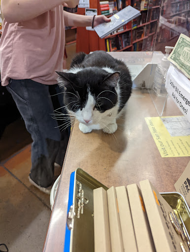 Book Store «Recycle Bookstore West», reviews and photos, 275 E Campbell Ave, Campbell, CA 95008, USA