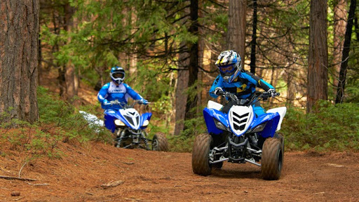 Motorcycle Parts Store «Lytle Racing Group», reviews and photos, 1719 W University Dr, Tempe, AZ 85281, USA