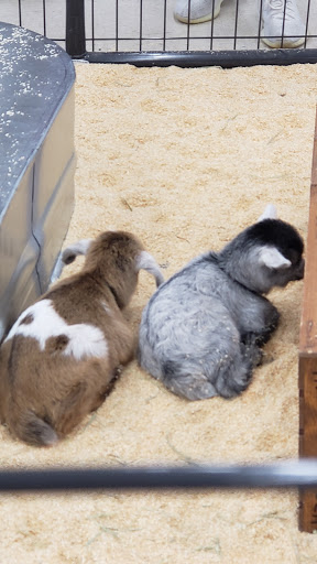 Animal Feed Store «FELDMANS Farm & Home», reviews and photos, 1332 W Kansas St, Liberty, MO 64068, USA