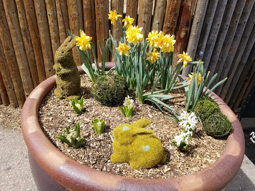 Zoo «Denver Zoo», reviews and photos, 2300 Steele St, Denver, CO 80205, USA