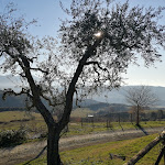 Photo n°15 de l'avis de Andrea.e fait le 02/01/2020 à 14:39 sur le  Ristorante Il Caio à Corbara