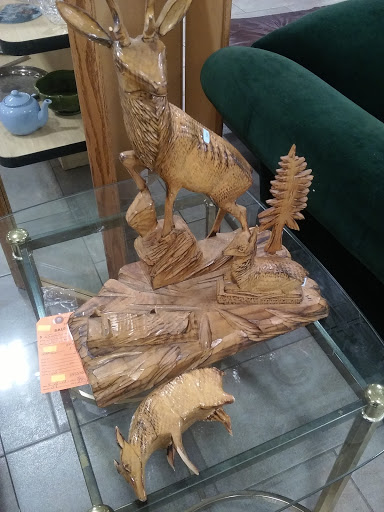 Thrift Store «The Salvation Army Family Store & Donation Center», reviews and photos, 825 E Nerge Rd, Roselle, IL 60172, USA