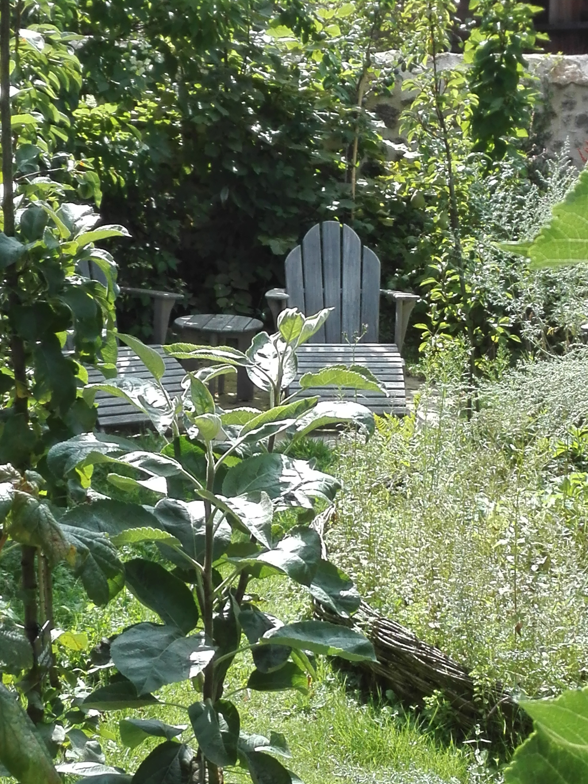 Photo n° 4 de l'avis de Vincent. fait le 06/08/2019 à 19:46
