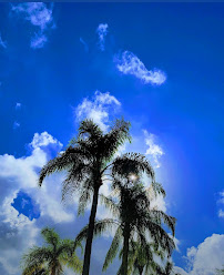 Paul C. Kopp Certified Life Coach Amazon Author - Photo 4 - Car repair in Coconut Creek, FL, Fort Lauderdale