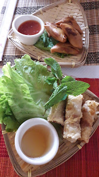 Plats et boissons du Restaurant vietnamien Aux Délices de Jade à Fabrezan - n°2
