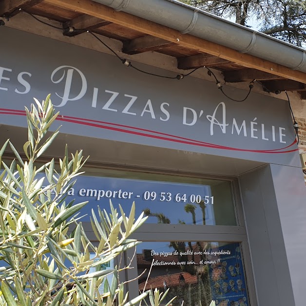 Les Pizzas d'Amélie 31470 Sainte-Foy-de-Peyrolières