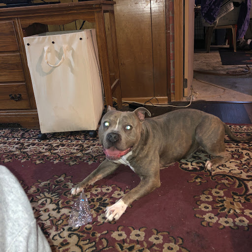 Pet Supply Store «Pet Supplies Plus», reviews and photos, 4505 S 76th St, Greenfield, WI 53220, USA