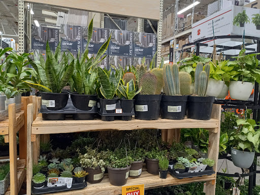 Home Improvement Store «The Home Depot», reviews and photos, 205 Anderson Ln N, Hendersonville, TN 37075, USA