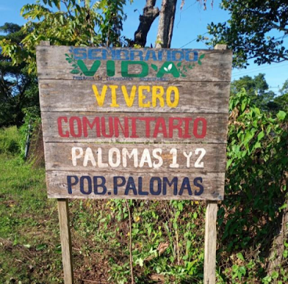 Vivero Comunitario Palomas