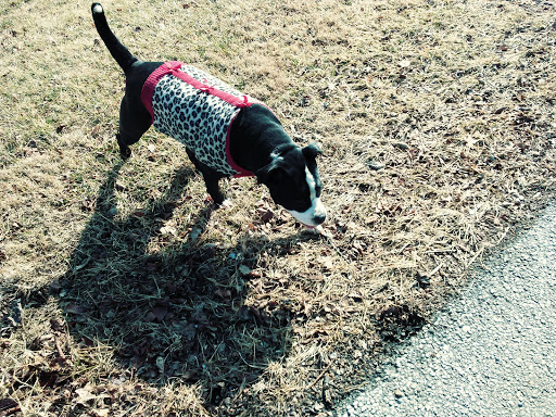 Park «Mt. Echo Park», reviews and photos, 202 Crestline Ave, Cincinnati, OH 45205, USA