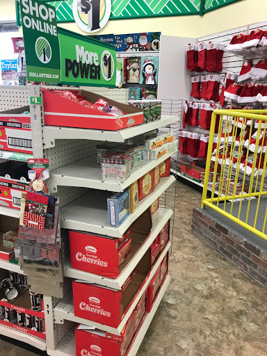 Dollar Store «Dollar Tree», reviews and photos, 6205 Coit Rd #200, Plano, TX 75024, USA