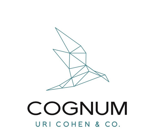 Cognum Financial Consulting Ltd.